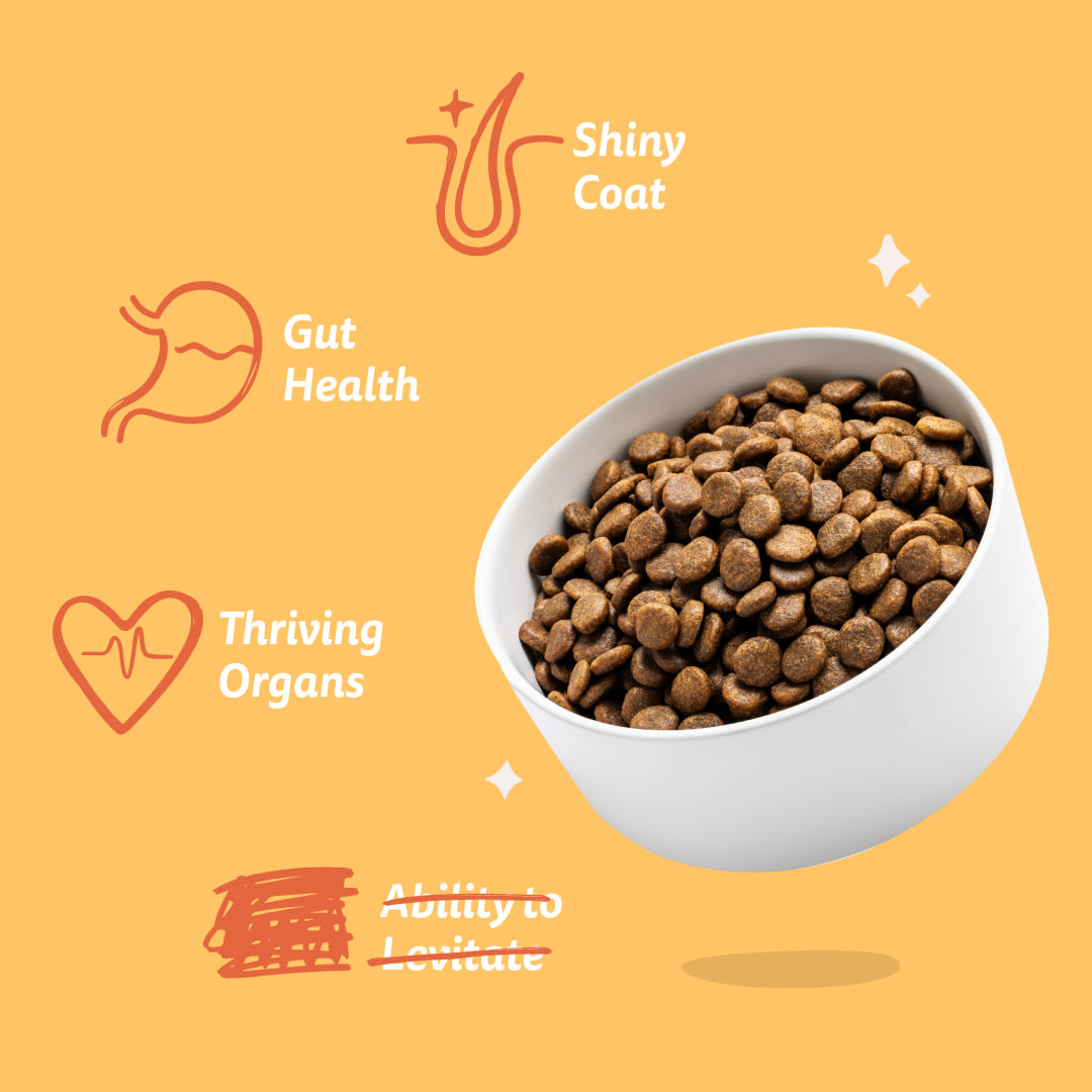 7. Dog-Refresh DTC-Assets Adult-Chicken BENEFITS