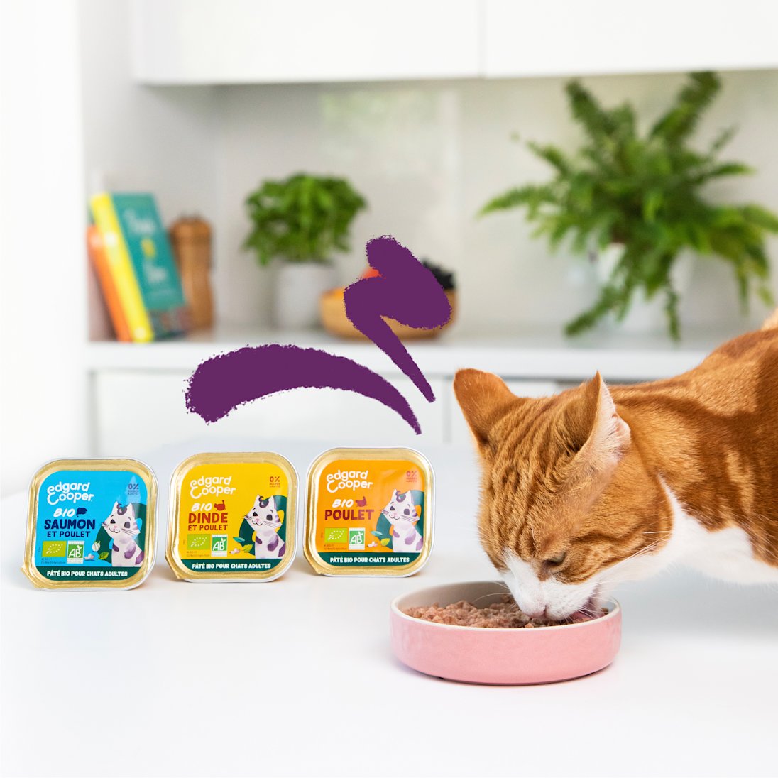 Lifestyle - Cat Adult Organic Pate FR