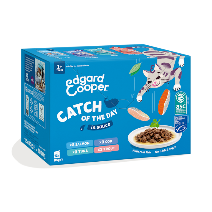 PACK - BUNDLE CAT AD CHUNKS-PCH-CATCH-4FLAV-12X85G