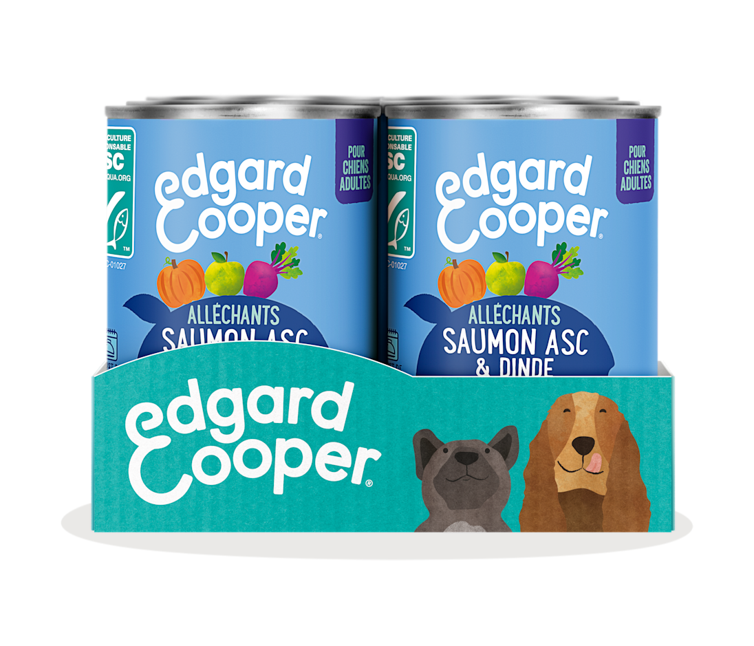 Pack - Dog Adult Paté Tin Salmon Turkey SRP FR