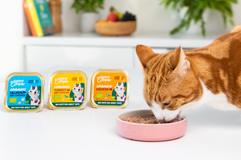 5 gezonde (en simpele) recepten voor kieskeurige peuters: succes gegarandeerd
