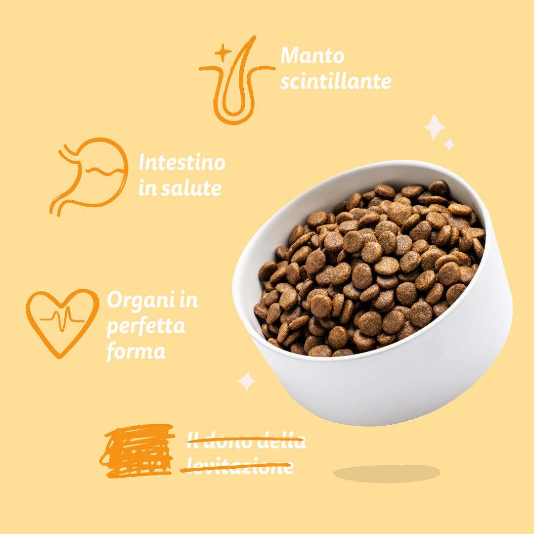7 Dog-Refresh DTC-Assets IT Adult-Carrot BENEFITS