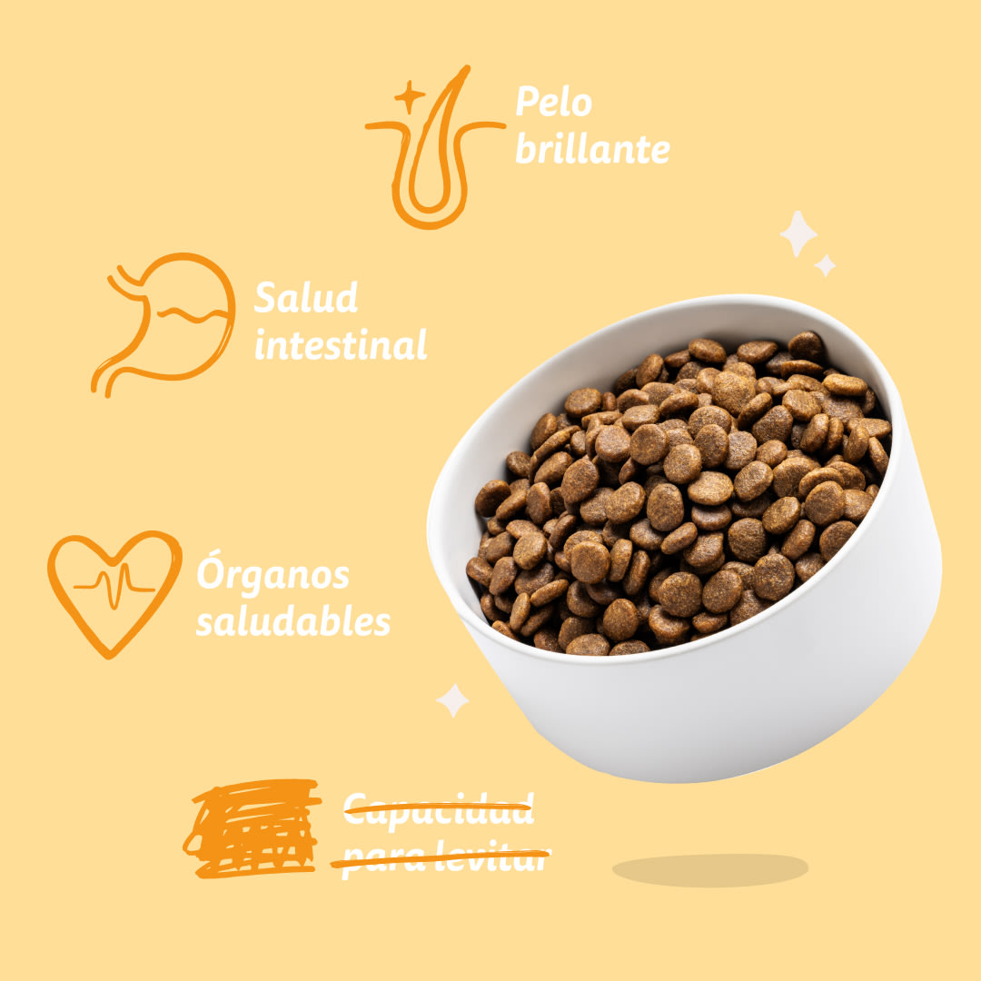 7 Dog-Refresh DTC-Assets ES Adult-Carrot BENEFITS
