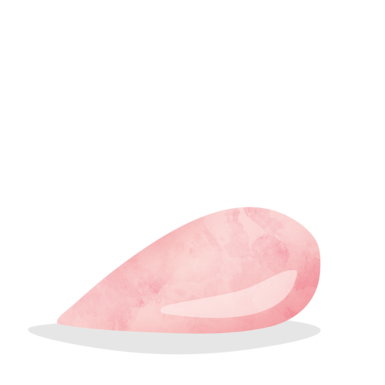 Illustration of ingredient