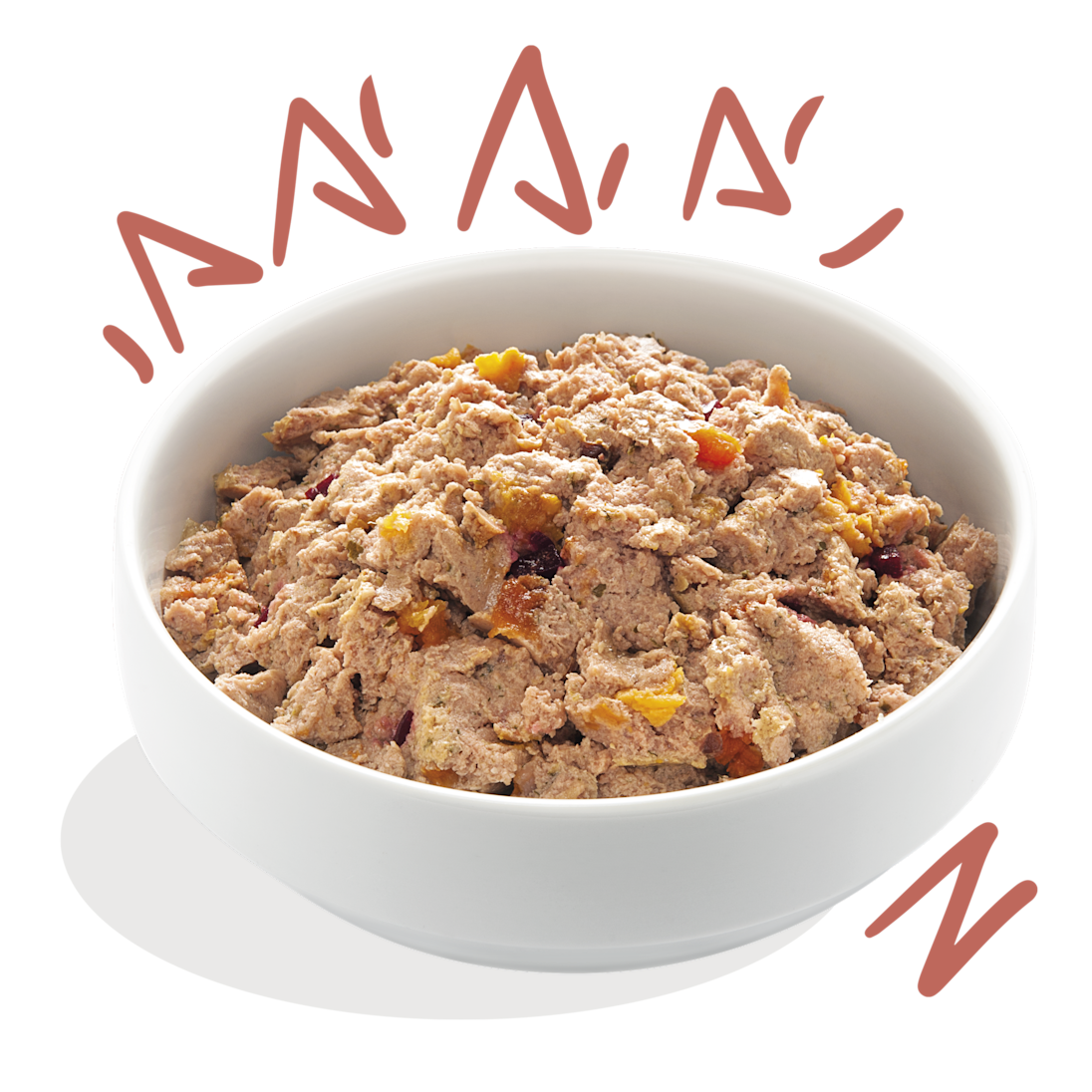 Product - Dog Senior Paté Cup Chicken Salmon