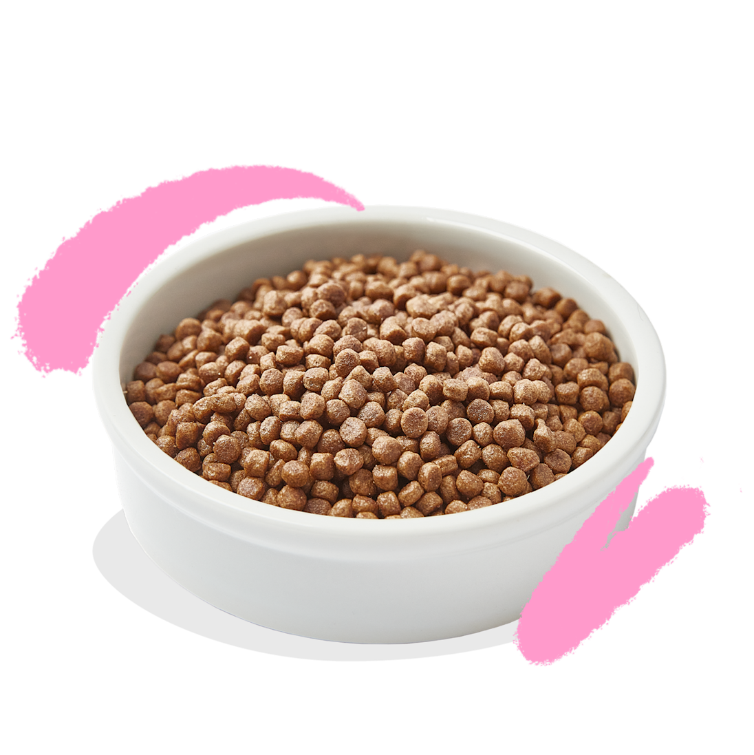 Product - Cat Junior Kibble Duck Chicken