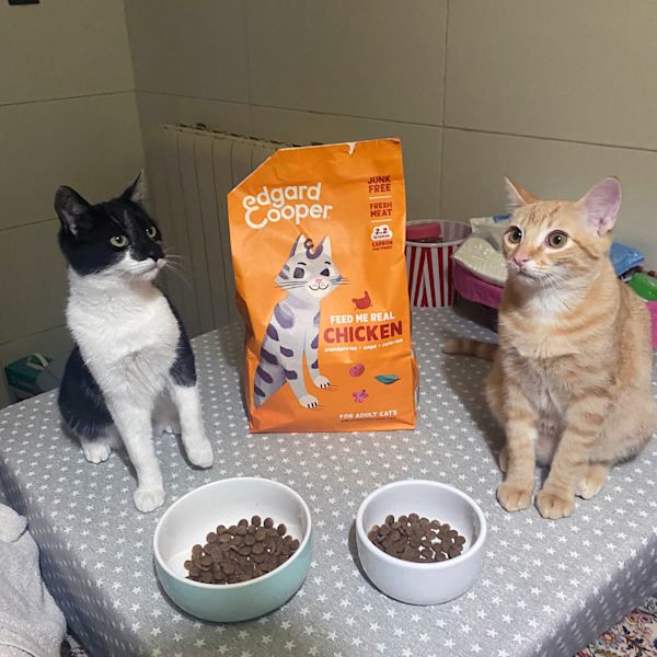 Getreidefreies Huhn- und Truthahn-Trockenfutter fr Senior-Katzen | Edgard  & Cooper