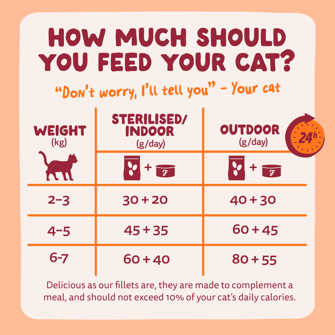 8 Cat-Fillets DTC EXP ChickenNatural FeedingGuidelines