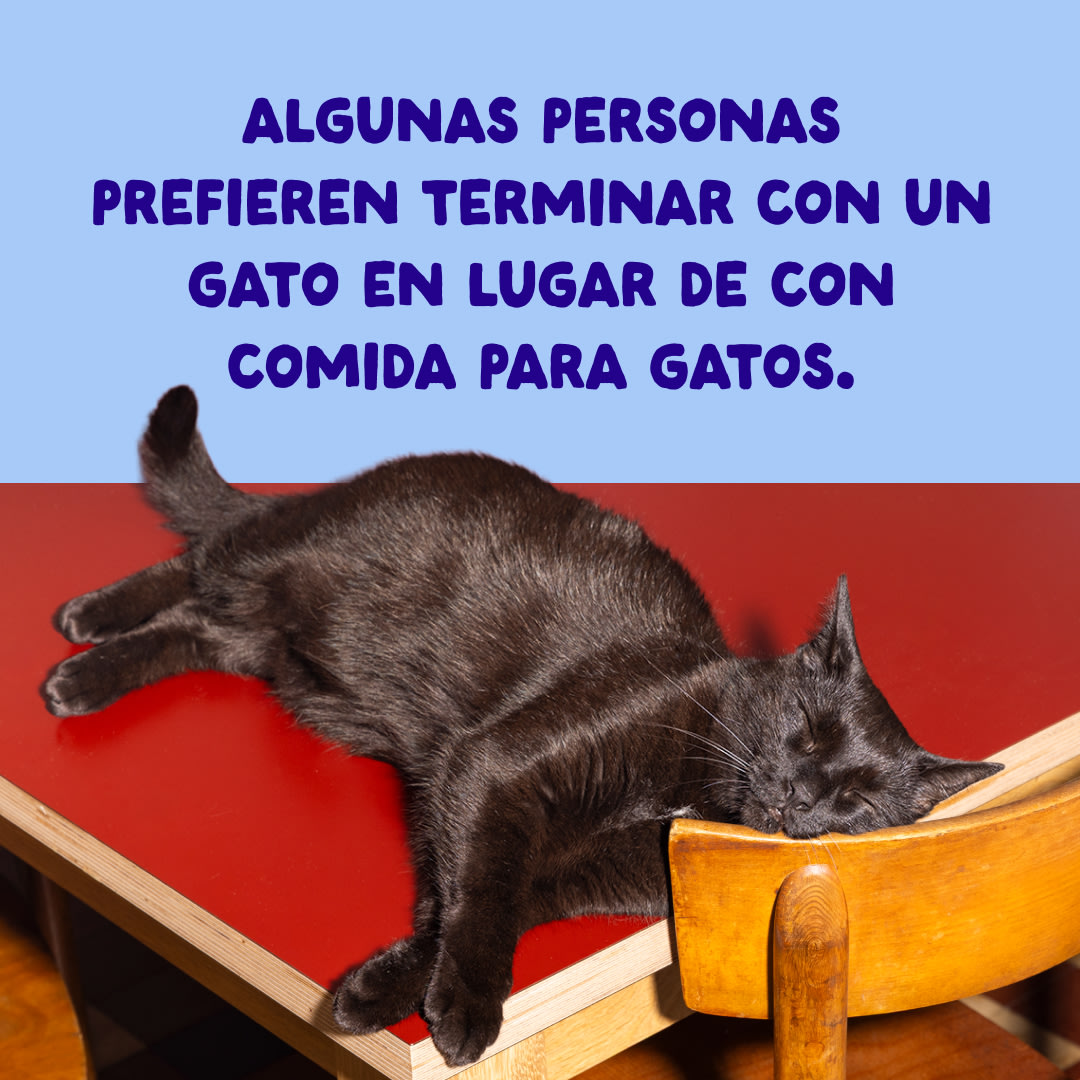 10 Cat-Fillets DTC ES TunaChicken End