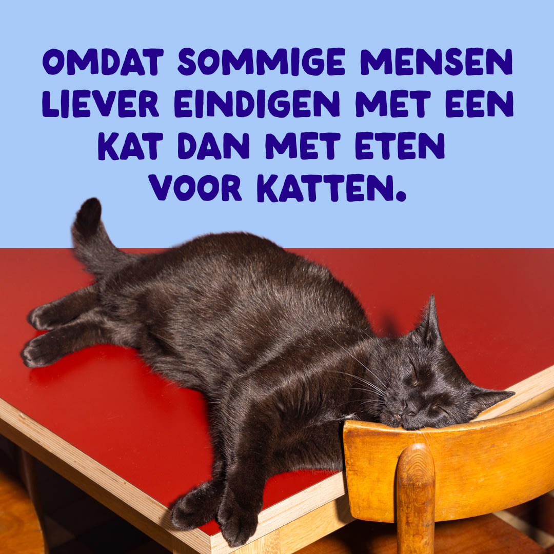 10 Cat-Fillets DTC NL TunaChicken End