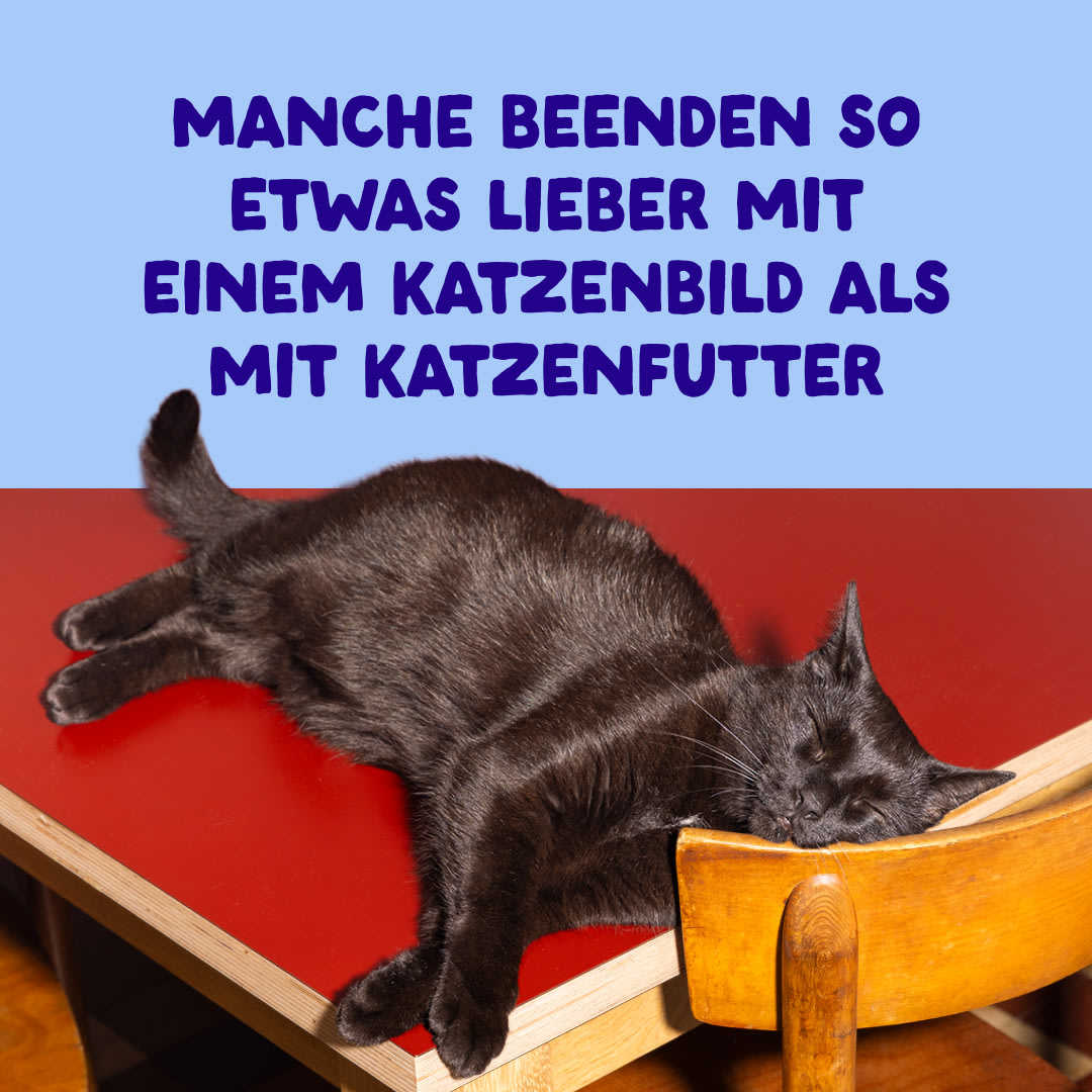 10 Cat-Fillets DTC DE TunaChicken End
