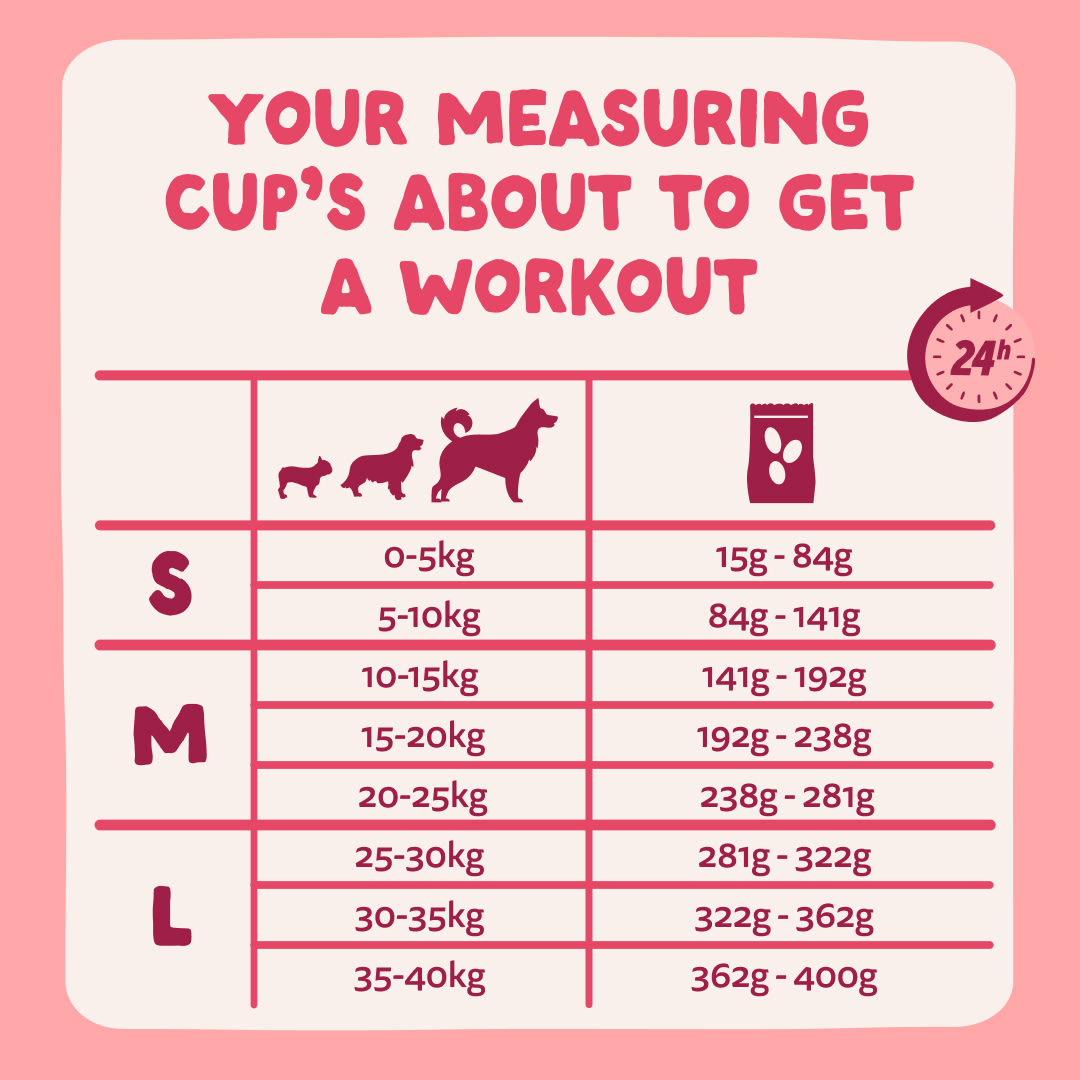 8 Dog-Refresh DTC-Assets EN Organic-Beef FEEDING-GUIDELINE