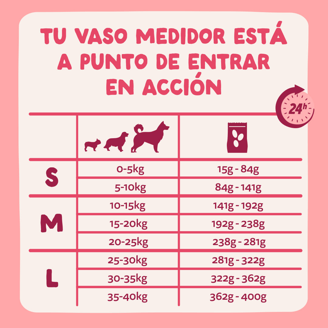 8 Dog-Refresh DTC-Assets ES Organic-Beef FEEDING-GUIDELINE