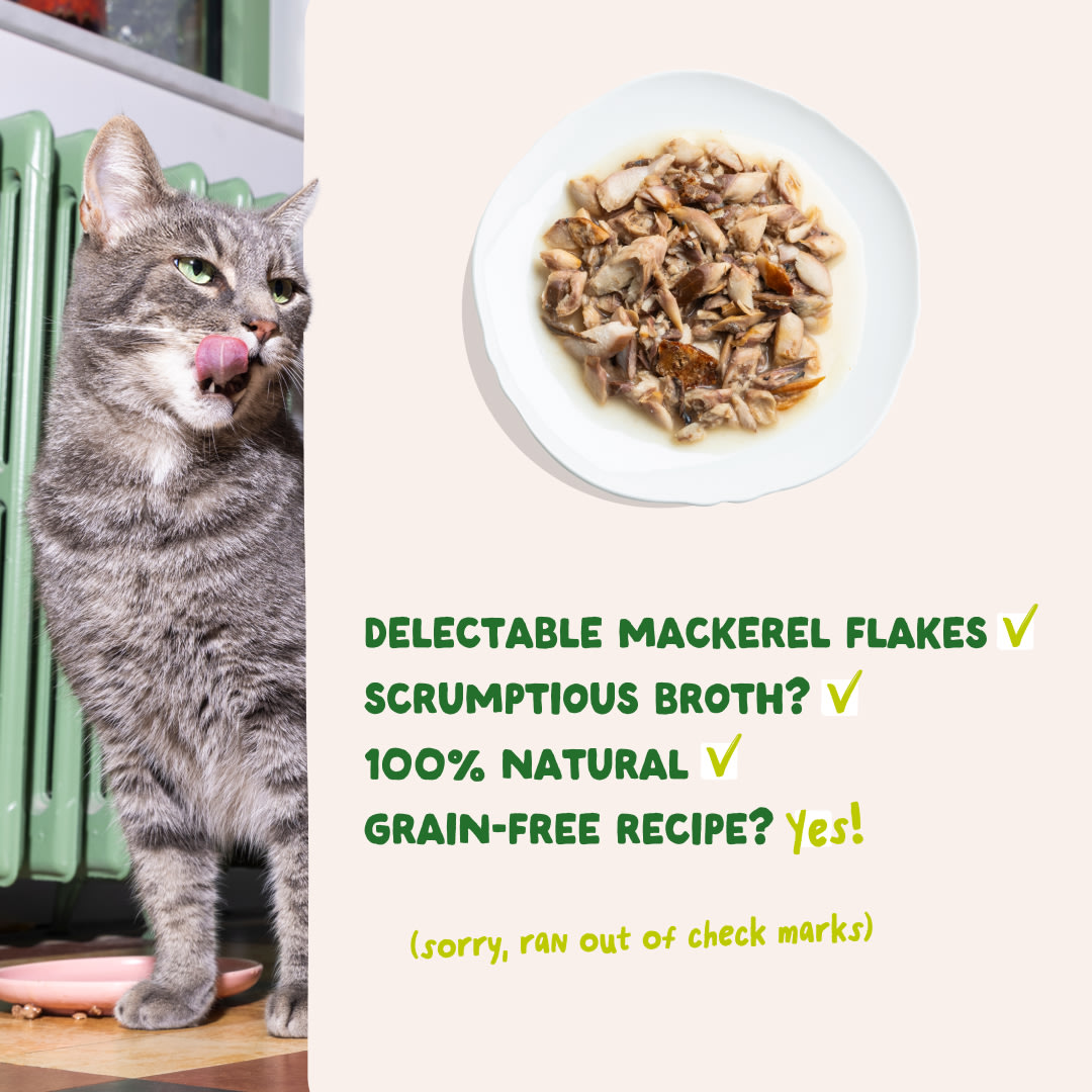 5 Cat-Fillets DTC EXP MackerelNatural USPs