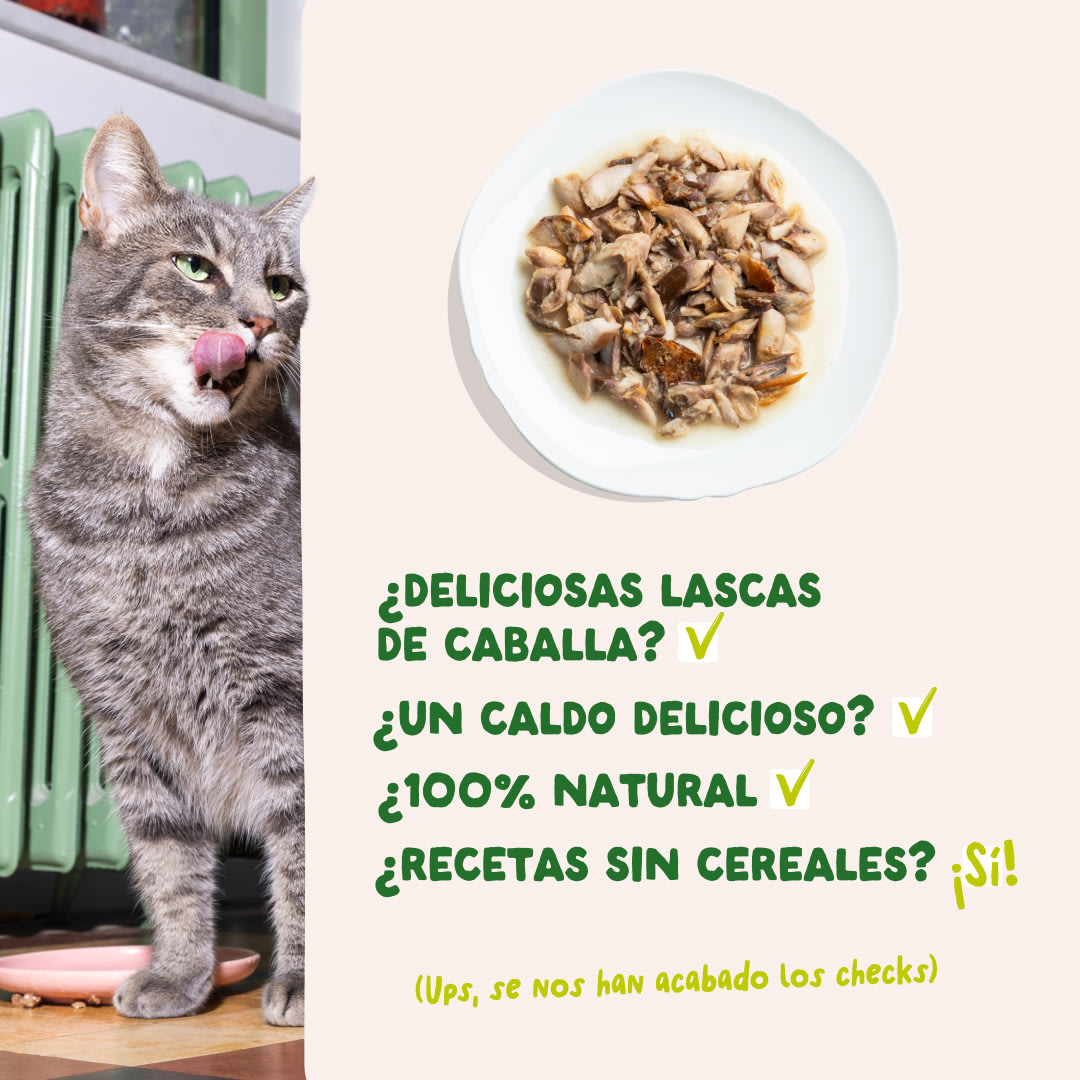 5 Cat-Fillets DTC ES MackerelNatural USPs