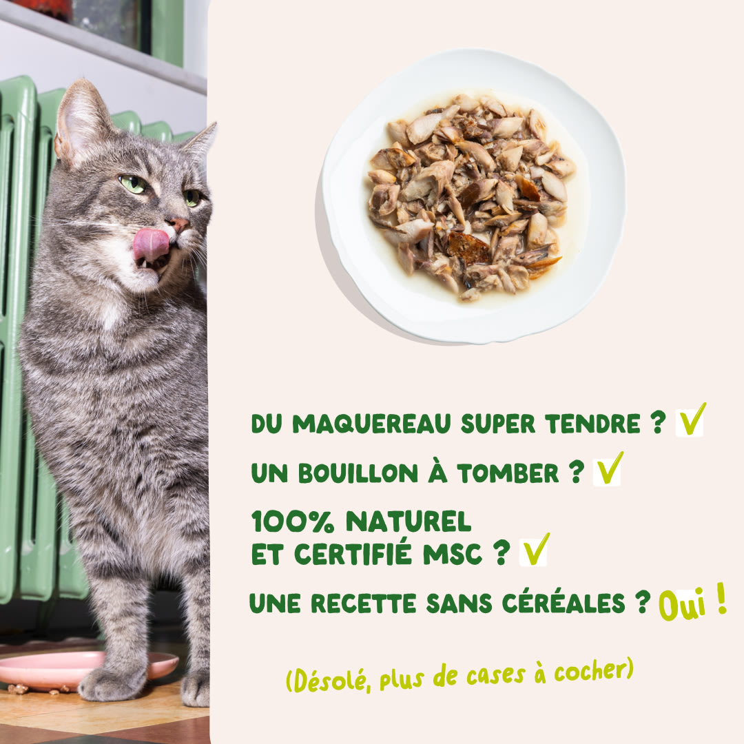 5 Cat-Fillets DTC FR MackerelNatural USPs