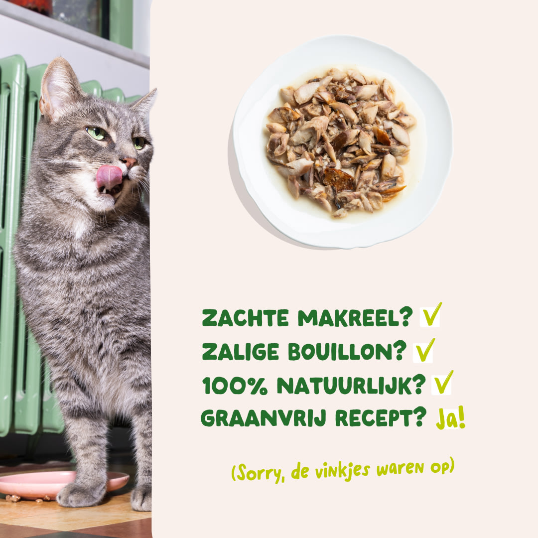 5 Cat-Fillets DTC NL MackerelNatural USPs