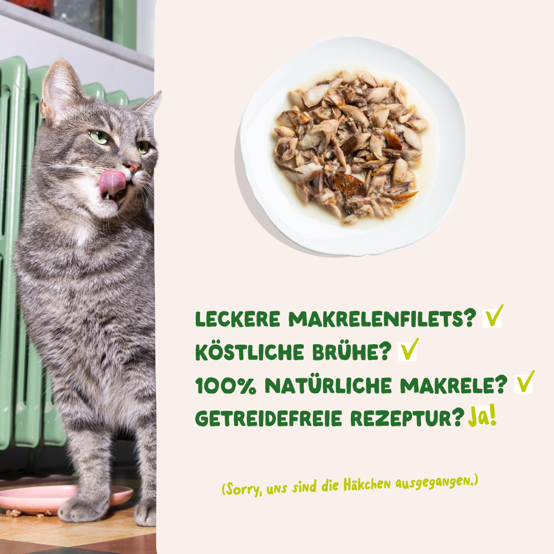5 Cat-Fillets DTC DE MackerelNatural USPs
