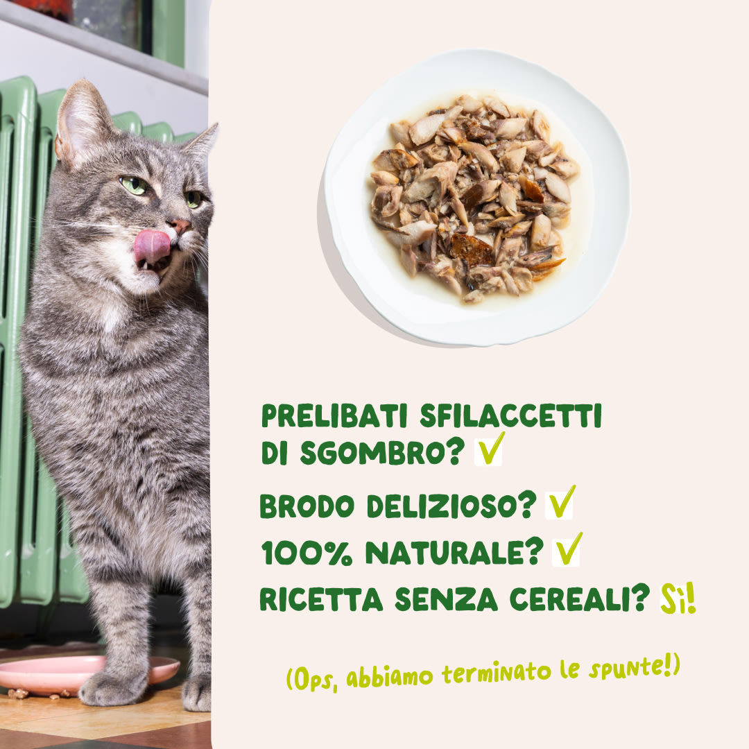 5 Cat-Fillets DTC IT MackerelNatural USPs