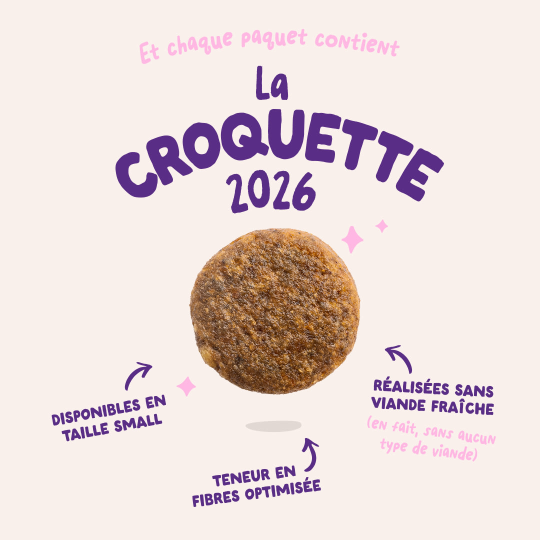 3 Dog-Refresh DTC-Assets FR Adult-Beetroot 2026 KIBBLE