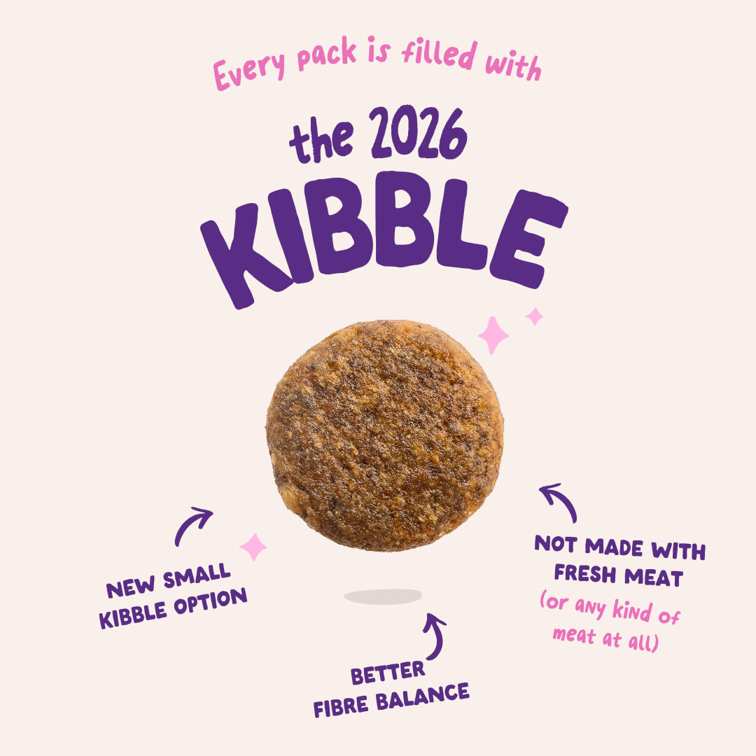 3 Dog-Refresh DTC-Assets EN Adult-Beetroot 2026 KIBBLE