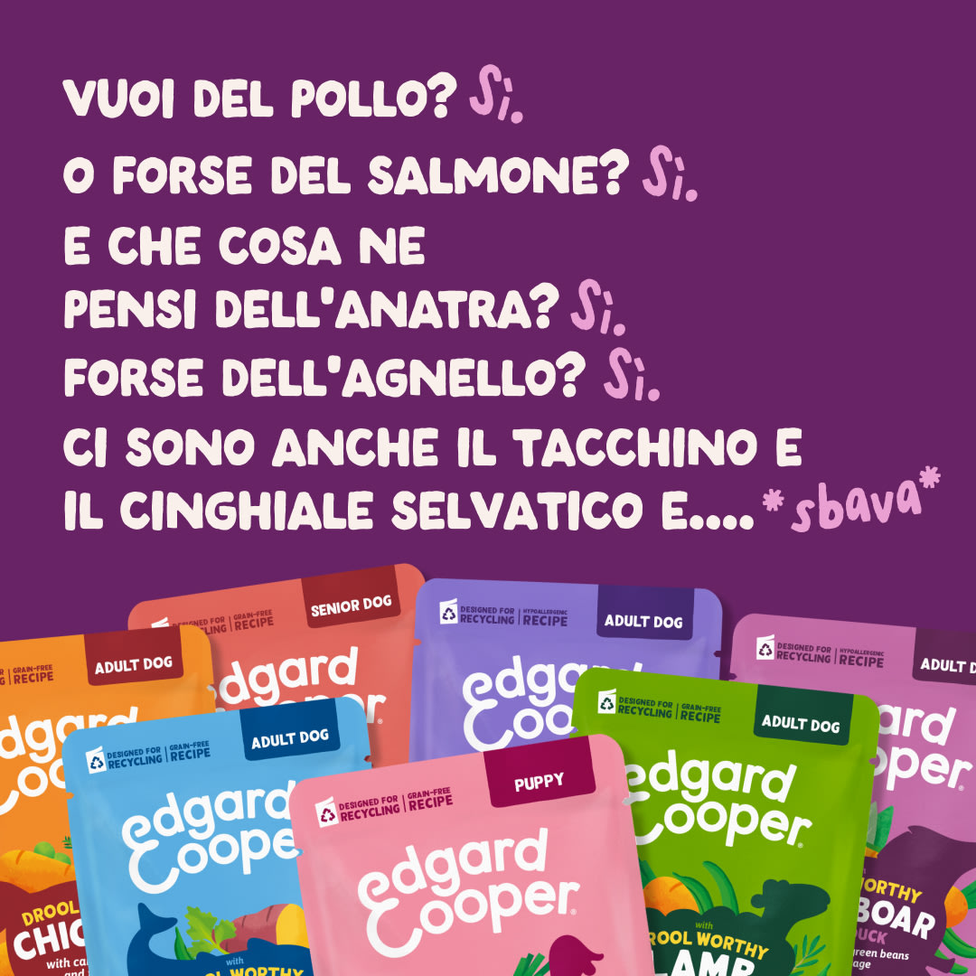 5 DWD D2C IT WildBoar Flavours